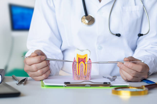 Best Mobile Emergency Dentist in Schoolcraft, MI